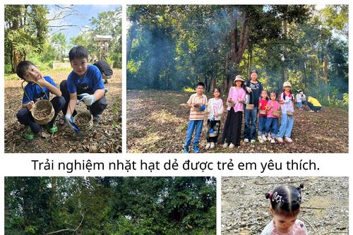Gieo mầm tình yêu rừng từ trải nghiệm thực tế
