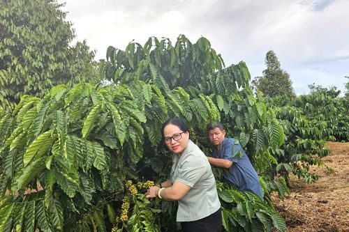 Lan tỏa phong trào 'Dân vận khéo' ở miền biên viễn Đức Cơ