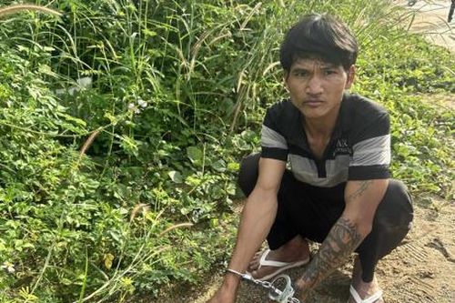 Đạo chích đi trộm… nuôi tiên!