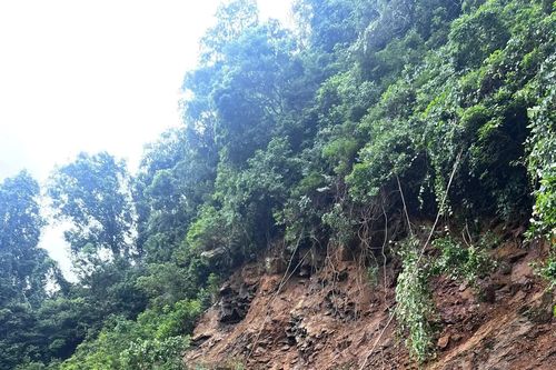 Xảy ra vụ sạt lở đất, đá trên đường Hồ Chí Minh nhánh Tây