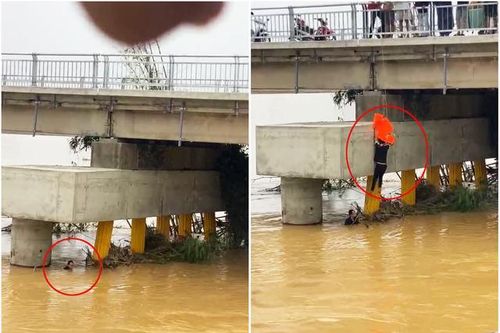 'Thót tim' cảnh nam thanh niên đu dây xuống chân cầu nước chảy cuồn cuộn cứu người