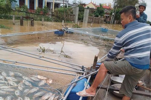Đa dạng hình thức nuôi trồng thủy sản để tránh thiệt hại