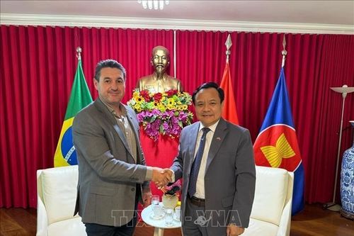 Việt Nam và Brazil thúc đẩy hợp tác đa lĩnh vực