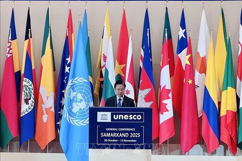 Sáng kiến của Việt Nam phù hợp với chiến lược của UNESCO