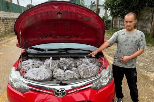 BĐBP tỉnh Cao Bằng liên tiếp phát hiện, thu giữ gần 1 tấn cau khô
