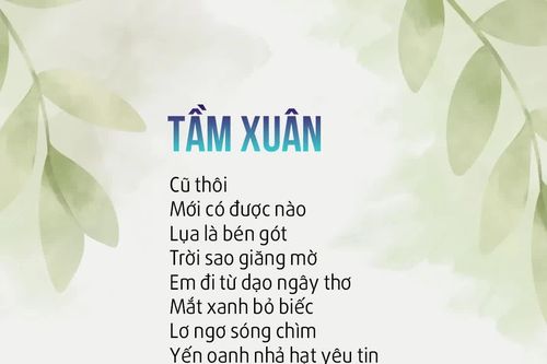 Tầm xuân