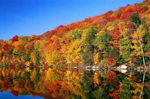 Canada là điểm đến ưu tiên của nhiều phụ nữ Mỹ