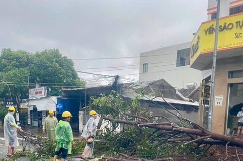 Nỗ lực xử lý các cây xanh bị bật gốc, gãy đổ khu vực Nha Trang