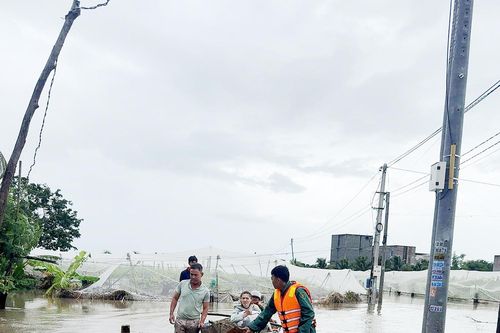 Xã Ninh Phước di dời khẩn cấp 488 hộ dân ra khỏi khu vực xung yếu, ngập cục bộ