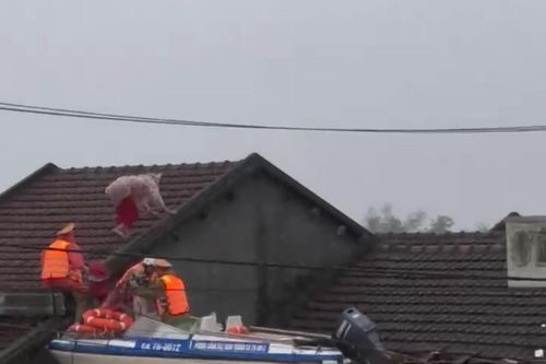 Đắk Lắk: Mưa lũ vượt mốc lịch sử làm 27 người chết, hàng trăm nghìn nhà chìm sâu trong nước