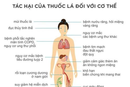 Nói không với thuốc lá!