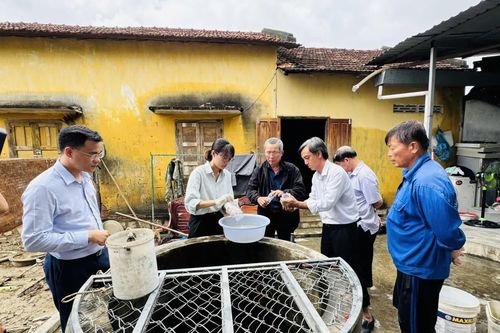 Tăng cường phòng dịch bệnh