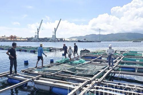 Xã Đại Lãnh yêu cầu người dân không ở lại lồng bè khi có lệnh di dời