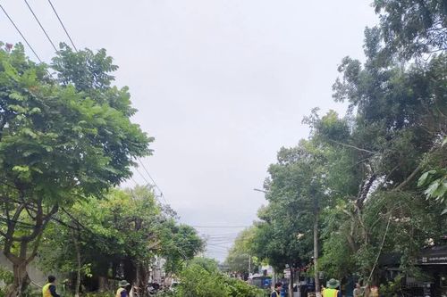Phường Cam Linh đã di dời tàu thuyền đến nơi an toàn