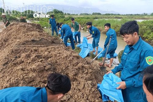 Xã Ninh Hải chủ động ứng phó bão số 15