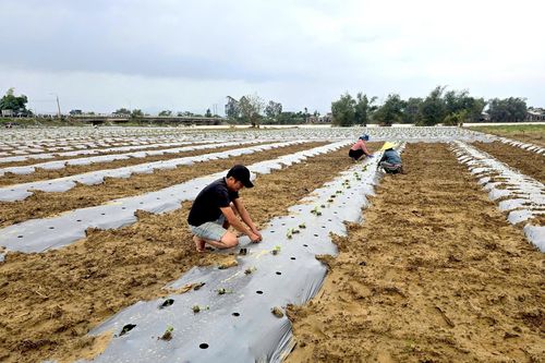 Gia Lai: Chung tay hướng tới cuộc sống mới