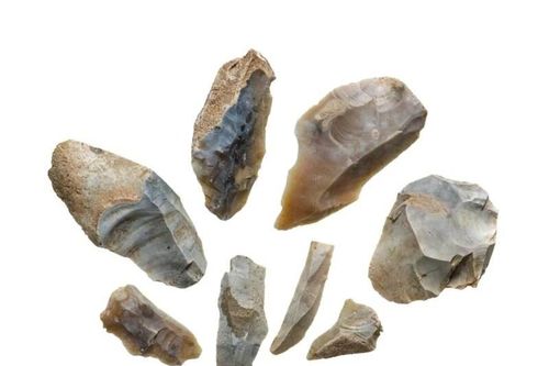 Tìm thấy hàng chục hiện vật quý hiếm dưới Cung điện nổi tiếng nước Anh
