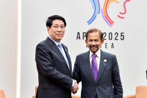 Quốc vương Brunei sắp thăm cấp Nhà nước tới Việt Nam