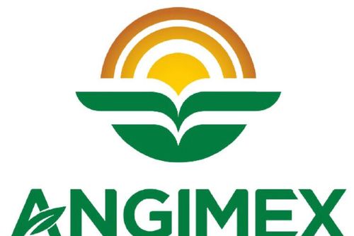 Đại hội đồng cổ đông thường niên năm 2025 Công ty Cổ phần Xuất Nhập Khẩu An Giang (Angimex) (Kỳ 1)