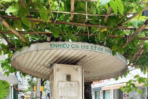Đảm bảo thông tin liên lạc phục vụ công tác ứng phó bão số 15