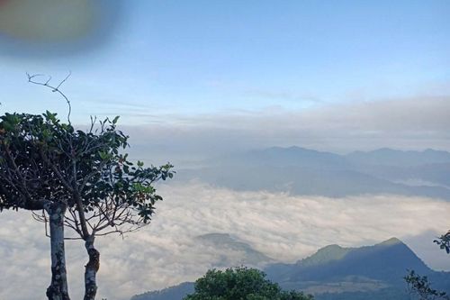 Đánh thức tiềm năng du lịch sinh thái rừng đặc dụng Pù Luông