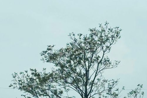 Tản văn: Qua phố ngày đông
