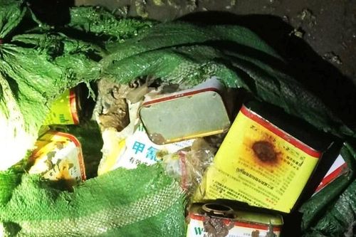 Tìm thủ phạm thả hóa chất lạ đầu độc vùng nước ven biển Quảng Ninh