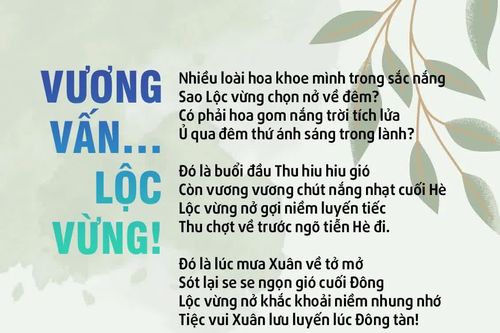 Vương vấn… Lộc vừng!