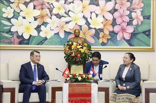 Tăng cường hợp tác tổ chức xây dựng Đảng giữa Việt Nam và Lào