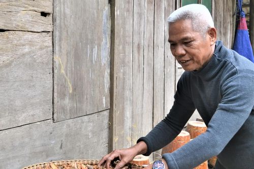 Tìm 'thuốc' giữa rừng già
