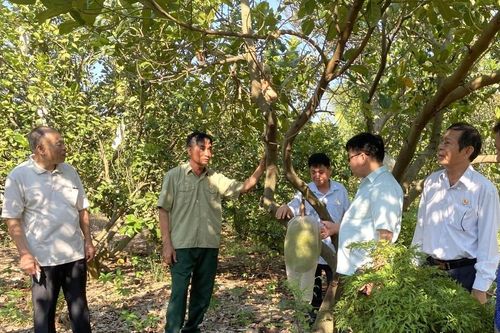 Kỷ niệm 36 năm Ngày truyền thống Hội Cựu chiến binh Việt Nam (6-12-1989 - 6-12-2025): Tự hào truyền thống, thi đua gương mẫu, xây dựng hội vững mạnh