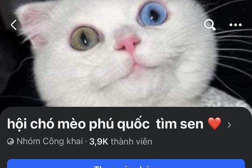 Mất tiền vì 'shop ảo'
