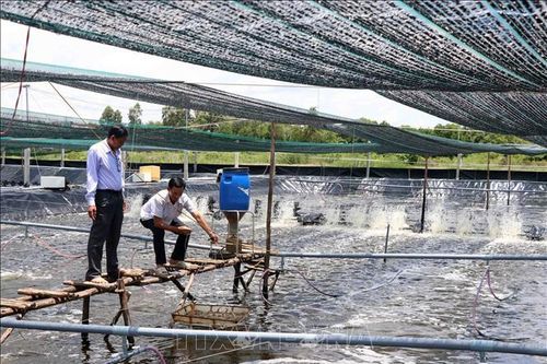 Phát triển sinh kế là giải pháp then chốt giảm nghèo bền vững cho người khó khăn