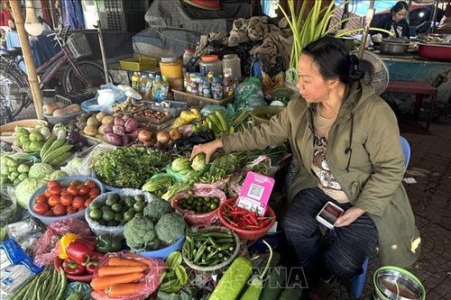 Giá rau xanh hạ nhiệt