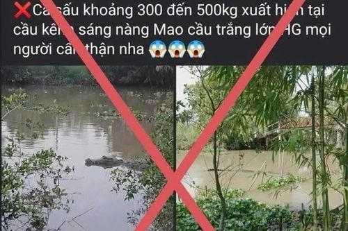 Triệu tập thanh niên đưa tin bịa đặt về cá sấu 'khổng lồ'