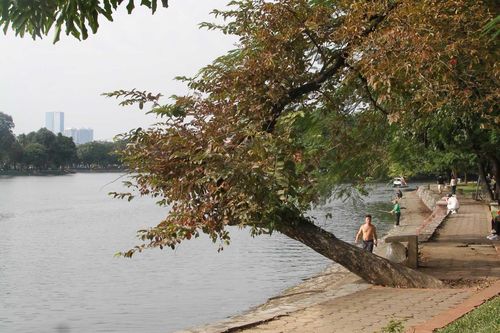 Ô nhiễm không khí quay trở lại Hà Nội: Ăn gì để hỗ trợ giải độc và bảo vệ hệ hô hấp?