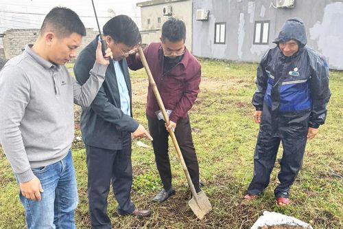 Giun đất bò lên mặt đất chết hàng loạt tại xã Phú Trạch không do ô nhiễm môi trường