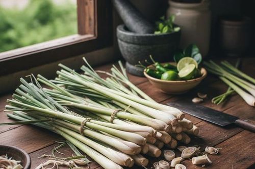 4 lý do nên sử dụng củ sả trong nhiều món ăn hàng ngày