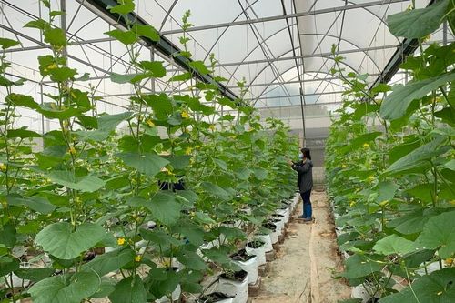 Từ phòng thí nghiệm ra đồng ruộng: Đưa KHCN phục vụ nông nghiệp, nông dân