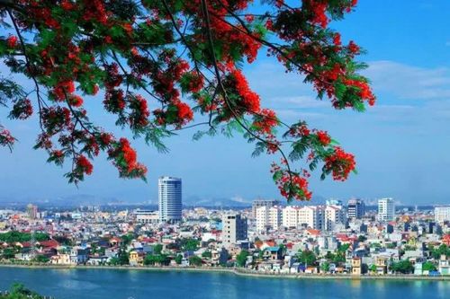 Chuyển đổi số lan tỏa vào đời sống của người dân Hải Phòng