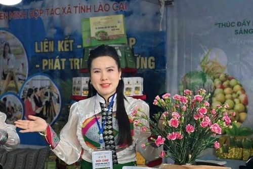 Phụ nữ lãnh đạo hợp tác xã vùng cao: Kênh thúc đẩy an sinh và bình đẳng giới