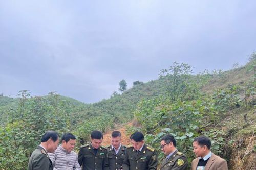 Chi cục Kiểm lâm tỉnh Thái Nguyên: Giữ màu xanh bền vững cho quê hương Việt Bắc