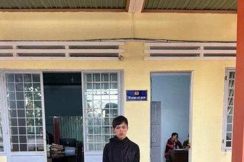 Đạo chích lên rẫy 'kiếm ăn'