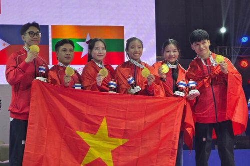 Thể thao An Giang đóng góp tại SEA Games 33