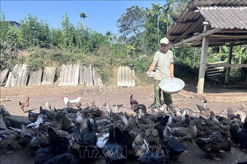 Từ đặc sản bản địa đến sản phẩm du lịch cộng đồng
