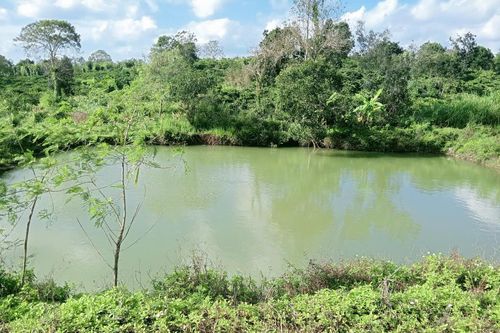 Ba trẻ nhỏ chết đuối thương tâm tại hồ tưới cà phê ở Đắk Lắk
