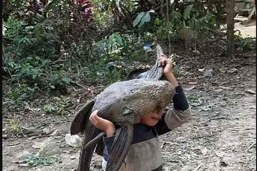 Bắt được 'quái vật' khổng lồ, bé trai gây sốc khi vác đi khắp làng