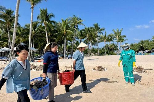 Hàng trăm người làm sạch bãi biển Phú Quốc mỗi ngày