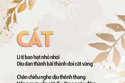 Cát