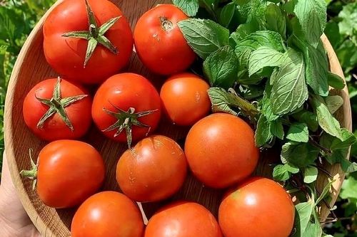 5 thực phẩm không nên bảo quản trong tủ lạnh